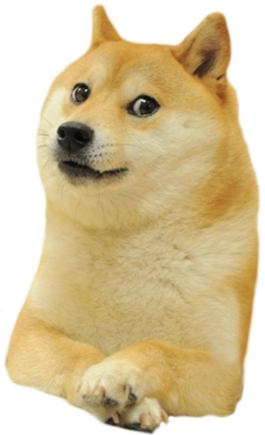 doge